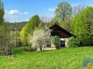 dom na sprzedaż 100m2 dom Makowica