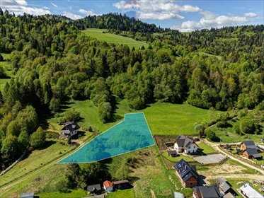 działka na sprzedaż 3004m2 działka Szlachtowa, Berech