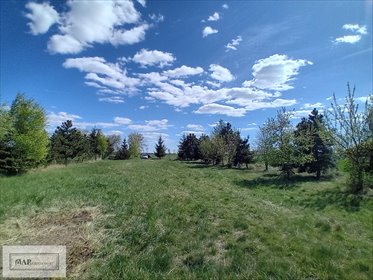 działka na sprzedaż 7000m2 działka Myślibórz