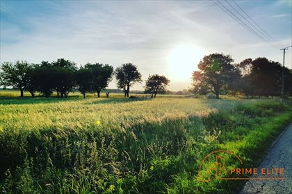 działka na sprzedaż 250000m2 działka Gleźno