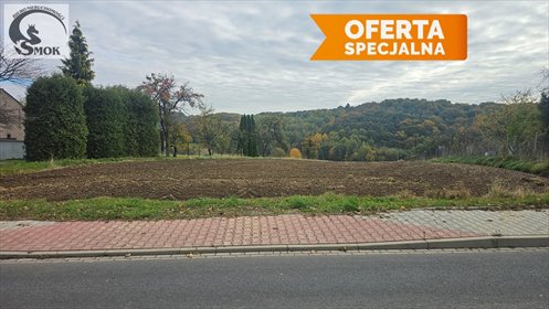 działka na sprzedaż 2860m2 działka Będkowice, Kawiory