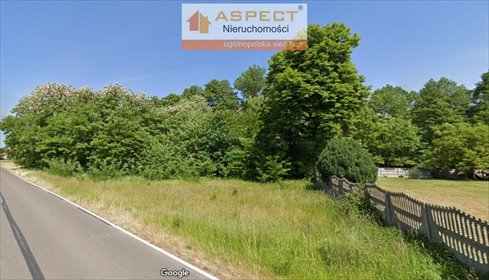 działka na sprzedaż 11300m2 działka Marianów