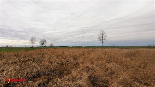 działka na sprzedaż 4300m2 działka Kunice