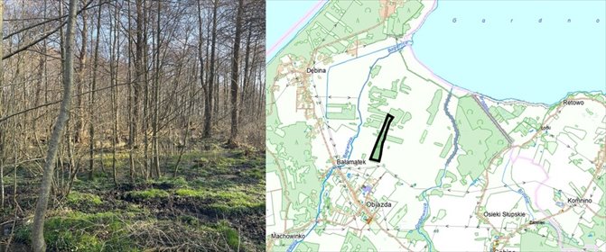 działka na sprzedaż 180700m2 działka Objazda