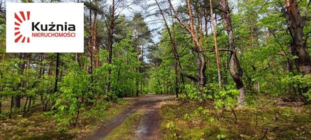 działka na sprzedaż 2505m2 działka Wilga