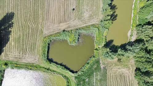 Działka z prywatnym stawem i widokiem na las działka Pałczew