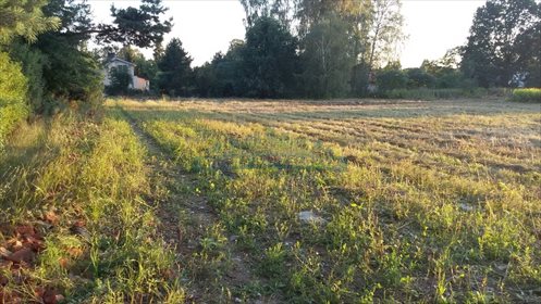 działka na sprzedaż 10253m2 działka Słupno