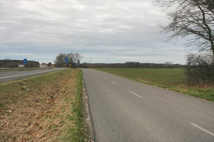 działka na sprzedaż 10000m2 działka Nekla