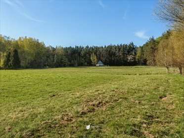 działka na sprzedaż 3000m2 działka Czapielsk, Przebiśniegowa
