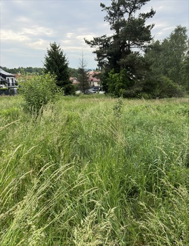 Działka rolna z dużym potencjałem rozwoju, 1,15 ha działka Brzoskwinia