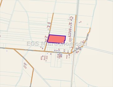 działka na sprzedaż 16753m2 działka Marzenin, Polna