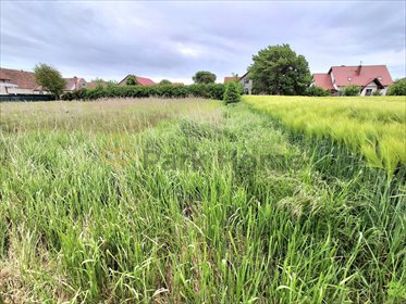 działka na sprzedaż 1648m2 działka Bytnik