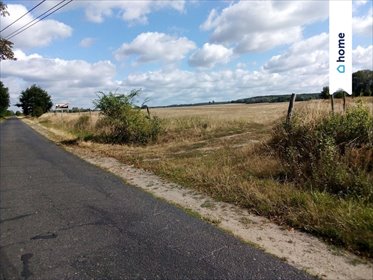 działka na sprzedaż 5285m2 działka Wystok