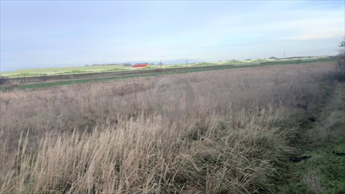 Działka 4420 m² z możliwością podziału (uzbrojona, blisko plaży) działka Karnin