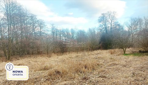 działka na sprzedaż 1000m2 działka Milanówek, Warszawska