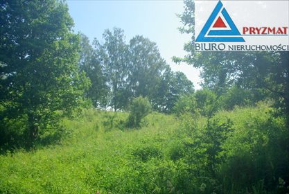 Działka budowlana na sprzedaż Mokiny 1 545m2 Foto 2