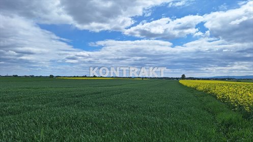 działka na sprzedaż 7871m2 działka Polanka Wielka, Graniczna