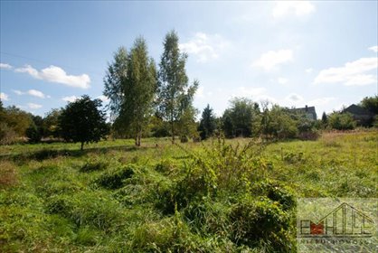 działka na sprzedaż 2506m2 działka Kotowice