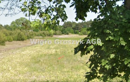 Działka pod farmę PV 25 048 m² z dostępem do sieci działka Budy Iłowskie