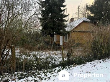 działka na sprzedaż 5000m2 działka Kaliszany-Kolonia