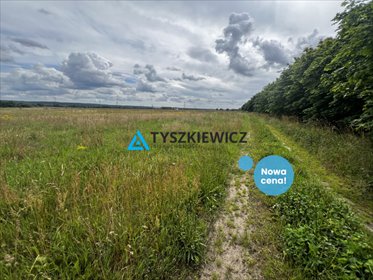 działka na sprzedaż 1003m2 działka Zamostne