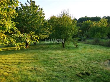 Działka budowlana na sprzedaż Stróża, gm. Mietków, gm. Mietków 2 198m2 Foto 4
