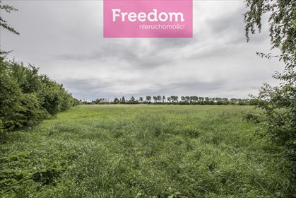 Magazyn na sprzedaż Miłoradz, Polna 1 280m2 Foto 3
