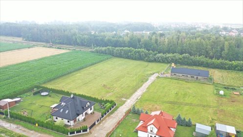 Działka budowlana na sprzedaż Czarnowiec, Błękitna 2 394m2 Foto 5