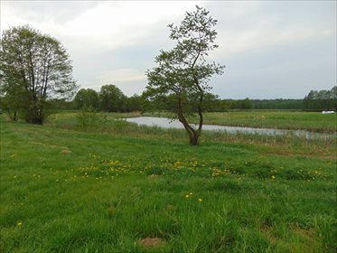 Działka rolna na sprzedaż Kępa Mała 15 000m2 Foto 7