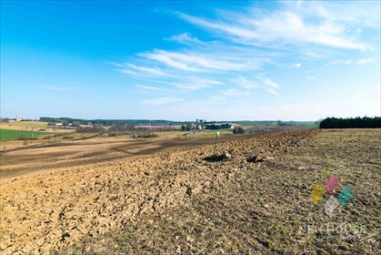 Działka budowlana na sprzedaż Różnowo 2 419m2 Foto 2