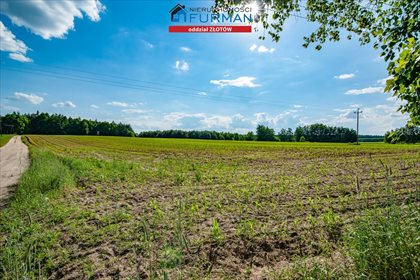 Działka rolna na sprzedaż Witrogoszcz-Kolonia 183 634m2 Foto 4