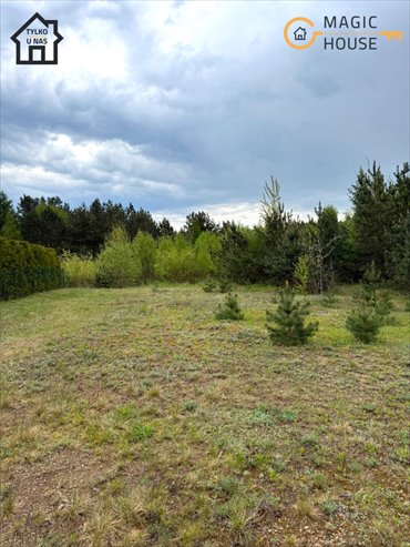 działka na sprzedaż 3500m2 działka Glincz, Wierzbowa