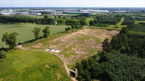 Zapraszam do zakupu działki 25 000 m² w Baczynie-Kolonii działka Baczyna-Kolonia