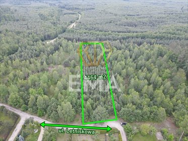 Na sprzedaż działka leśna 4464 m² w Herbach z dostępem do natury działka Pietrzaki, Letniskowa