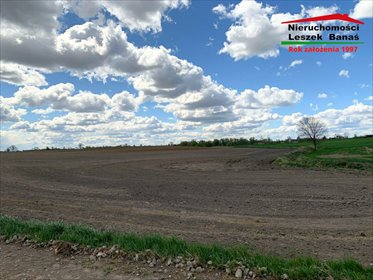 Działka rolna 12,6 ha z dojazdem utwardzonym i klasą IV działka Trzcianek, Michałki