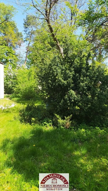 Dom na sprzedaż Łomianki, Dąbrowa Leśna 189m2 Foto 6