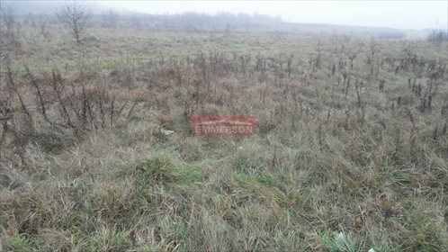 działka na sprzedaż 3700m2 działka Kraków, Dębniki, Dębniki, Spacerowa