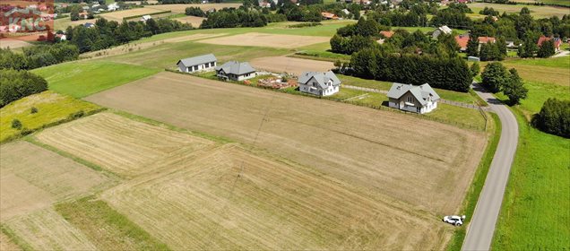 Działka inwestycyjna na sprzedaż Niewodna 14 000m2 Foto 5