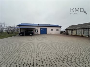 lokal użytkowy na wynajem 100m2 lokal użytkowy Janowice