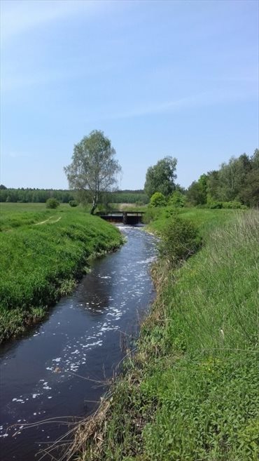 Działka inna na sprzedaż Oksa 600m2 Foto 3
