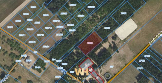 Polecam działkę 3000 m² w Zarębach - idealna pod zabudowę! działka Zaręby