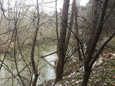 działka na sprzedaż 2100m2 działka Otwock