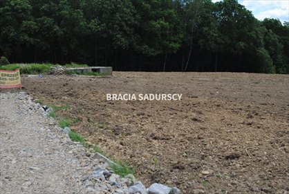Działka budowlana na sprzedaż Jankówka 10 518m2 Foto 1