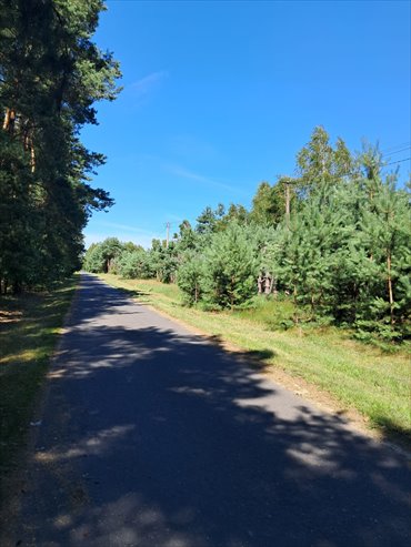 Do sprzedania działka w Prażuchach Nowych - spokój i media działka Ceków-Kolonia, Nowe Prażuchy