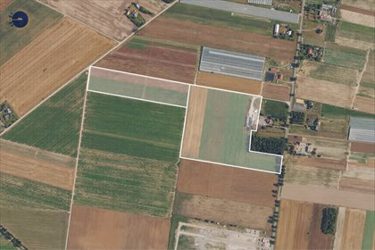 działka na sprzedaż 71531m2 działka Nowe Przybojewo