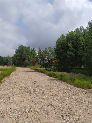 działka na sprzedaż 1000m2 działka Łady