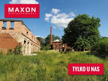 Lokal użytkowy na sprzedaż Machory 1 377m2 Foto 1
