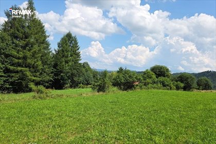 Sprzedam działkę 1642 m² w Kamesznicy z lasem i strumieniem działka Kamesznica, Pod Jabłonie