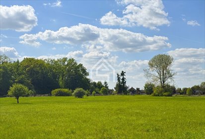 działka na sprzedaż 6000m2 działka Wola Batorska
