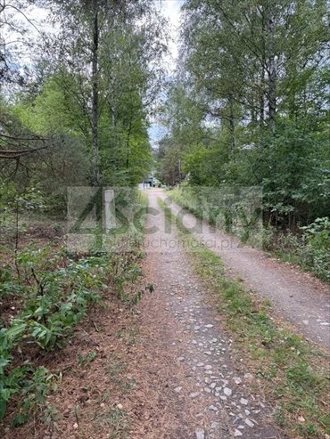 działka na sprzedaż 1000m2 działka Józefów